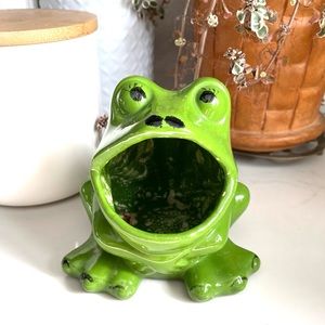 Ceramic Frog Sponge Holder | Succulent Pot
